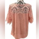 Absolutely Famous  💓LADIES XL💓PINK LACE TOP TUNIC SHORT SLEEVED SEMI SHEER Photo 3