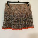 American Eagle  Outfitters Floral Pleated Skirt Photo 0