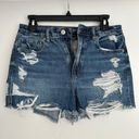 American Eagle Mom Short Photo 0