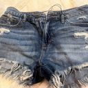 Hidden Jeans Jean Shorts Photo 0