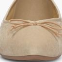 Birdies  Goldfinch Pointy Toe Ballet Flat Size 8 Photo 3