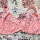 Frederick's of Hollywood Frederick’s of Hollywood Pink Lace Semi Sheer Bra Photo 0