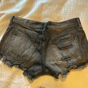 Free People  Distressed Black Shorts Photo 1