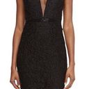 Carmen Marc Valvo  Mesh Insert Lace Cocktail Dress Photo 0