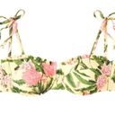 Agua Bendita  yellow and pink hydrangeas push up swim bikini 24 Photo 3