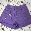 Bongo 🌴 Vintage High Rise Ripped Purple Shorts Photo 1