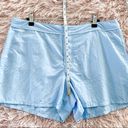 Patagonia  Nylon Shorts in Blue Photo 2