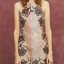 Foxiedox  Georgina Lace Appliqué Sheath Dress In Blush Multi Size 14 NWT Photo 2