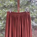 Stonebridge Women's Vintage Pleated Maxi Skirt Tan Size XL Brown Photo 2