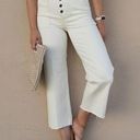 Carly Jean Los Angeles  Original Hendrix Wide Leg Jeans Sea Salt Size 9 Photo 0