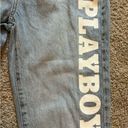 PacSun The Playboy by  Light Blue High Waisted Straight Leg Jean Size 0/24 Photo 5