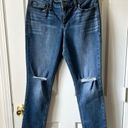 Crown & Ivy  Petite Straight Jeans | size 8 PR Photo 0