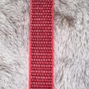 Apple Watch band 38mm/40mm/41mm Red Photo 1