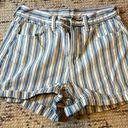 American Eagle Outfitters Mom Shorts Photo 0