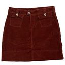 Patagonia  Corduroy Mini Skirt Sz 2 Organic Fall Granola Girl Preppy Sustainable Photo 0