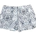 Apt. 9  Torie Mid Rise Snake Print Shorts Sz 16 Photo 1