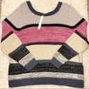 Caslon  Crewneck Marl Stripe Colorblock Textured Sweater 3X Photo 2