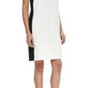 Vince Shift Dress Knee Length Colorblock Size Medium Black/White Business Photo 4