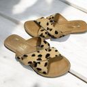 Coconuts by Matisse  - Pebble Leather Sandal in Leopard - 8 Photo 0