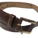 Ann Taylor  Brown Italian Leather Belt thin snake embossed Brass women’s Sz S Photo 0