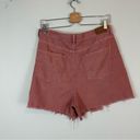 American Eagle AEO | Mauve Pink Distressed Highest Rise Mom Shorts Size 12 Photo 4