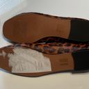 Madewell The Greta Ballet Flat SZ 8 NN047 SOLD OUT Photo 10