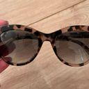 Warby Parker Tilley Sunglasses Photo 2