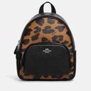 Coach NWOT.  Mini Court Backpack In Signature Canvas Leopard Backpack Photo 0