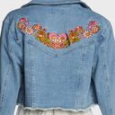 Dolls Kill Embroidered Jean Jacket Photo 2