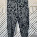 Chaser  Cozy Knit Jogger Sweatpant Safari Leopard Photo 0