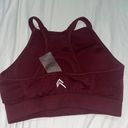 Oner Active Burgundy High Neck Sport Bra Photo 4