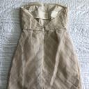 BCBGeneration  Beige Strapless Tiered Mini Dress Photo 3