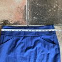 Anthropologie  Floreat Ruffle Back Skirt Blue Size 6 Photo 4