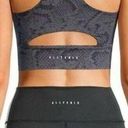 Anthropologie AllFenix |  Longline Blue Black SnakeSkin Print Sports Bra. Size M Photo 1