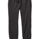 Patagonia  Ahnya Jogger Pants Pull-On Drawstring Ribbed Waist Tapered Gray Large Photo 5