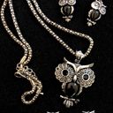 Betsey Johnson Night owl jewelry set matching necklace bracelet earrings Photo 4