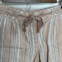 BCBGMAXAZRIA  TAN AND BLACK PINSTRIPED SHORTS Sz 6 Symone Linen The Short Shorts Photo 2