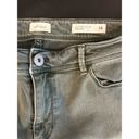 J.Jill  Denim Jeans Women Size 14 Grey Blackwash Authentic Fit Slim Ankle Photo 3