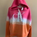 Calvin Klein Jeans Pink And Orange Ombré Hoodie Sweatshirt  Photo 0