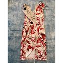 Connected Apparel  Off White Taupe Red Floral Sleeveless Dress Size 4 Photo 1