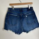 Abercrombie & Fitch  high rise fly button mom shorts curve love size 30 Photo 4