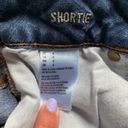 American Eagle Shortie Denim Shorts Photo 5