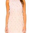 Elliatt  Happening Dress in Blush Feathers Photo 0