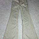 Pilcro  Beige Flare Jeans Size 25P Photo 0