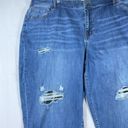 Lane Bryant  Flex Magic Denim Low Rise Boyfriend Curvy Fit  Distressed Size 26 Photo 2