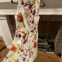 Hunter Bell ANTHROPOLOGIE  New York Sleeveless A Line Dress Floral Size 4 Photo 1