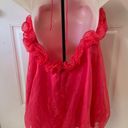 Main Strip L  Pink Organza Dress Photo 1