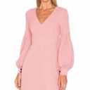 Alexis  Ellena Shift Dress in Ash Pink NWT Size Small Photo 3