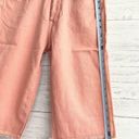 Bermuda Sandrine Rose Pink Salmon  Shorts Photo 12