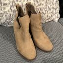 Charlotte Russe Booties Photo 0